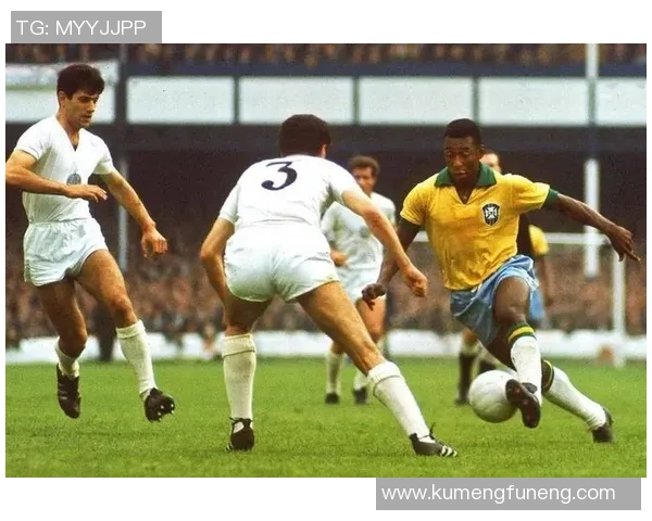 保加利亚足球传奇球星及其辉煌成就回顾与影响分析